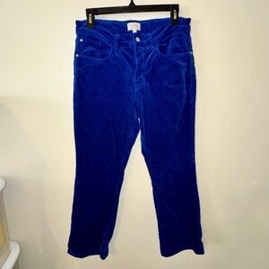 Pilcro Royal Blue Corduroy Straight Leg Jeans